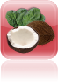 Veg and coconut shakeology recipe
